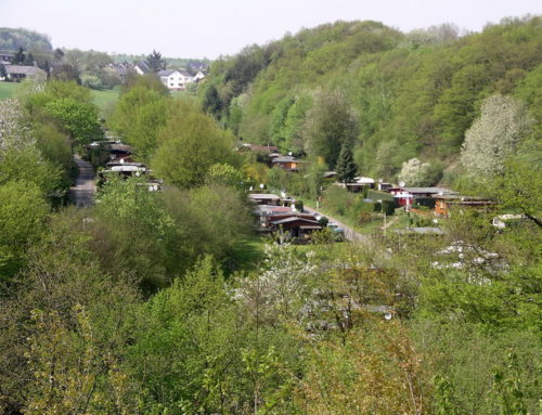 Herrliche Waldlage